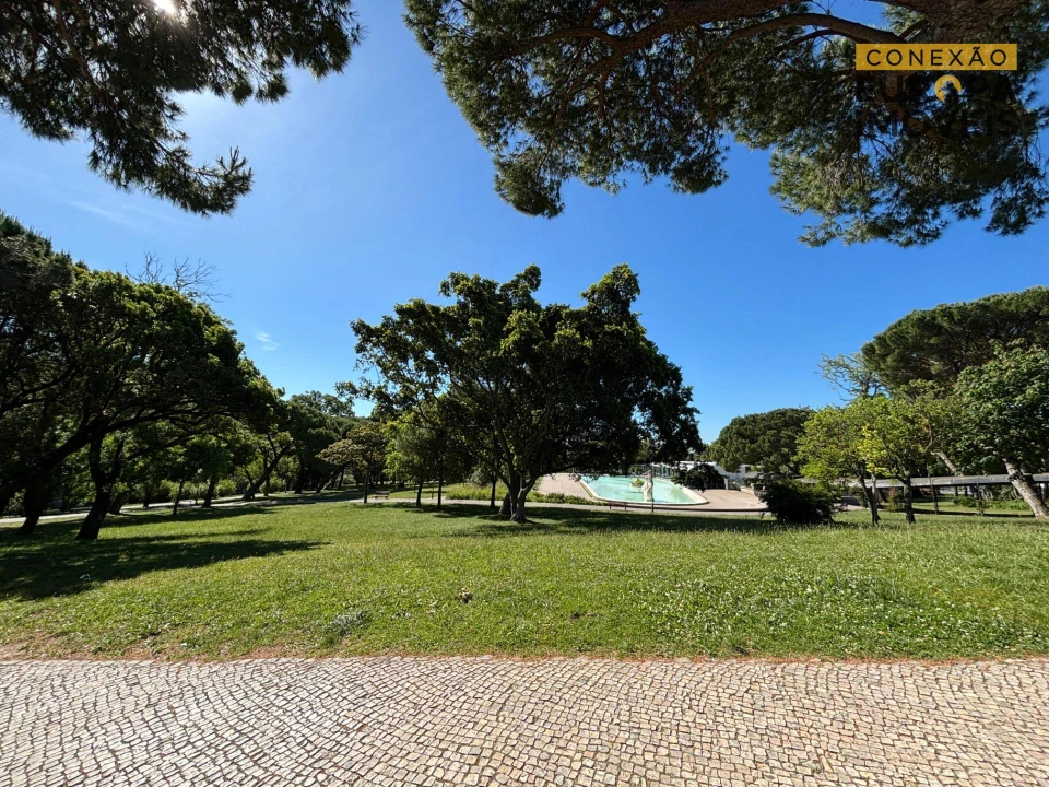 Apartamento T1 para Venda em Avenidas Novas Foto 33