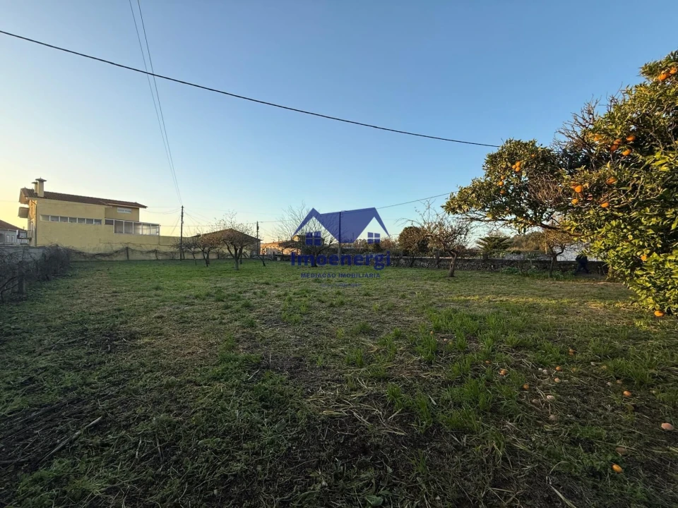 Terreno para Venda em Arvore Foto 1