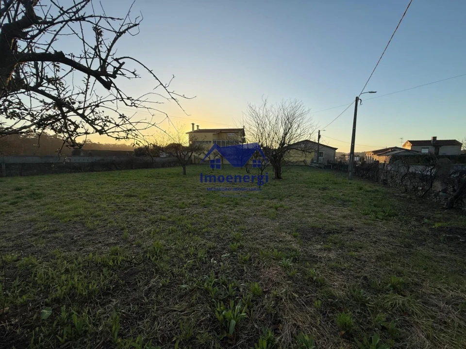 Terreno para Venda em Arvore Foto 3