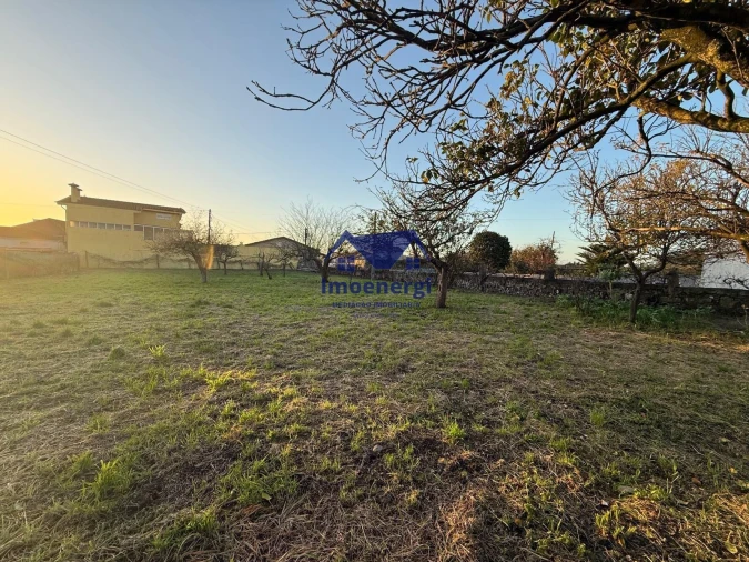 Terreno para Venda em Arvore Foto 5