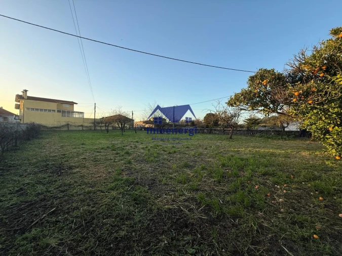 Terreno para Venda em Arvore Foto 6