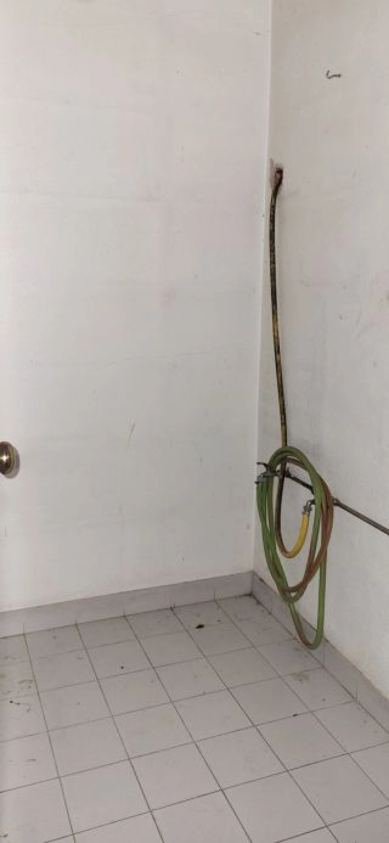 Negócio para Venda em Póvoa de Santo Adrião e Olival Basto Foto 11