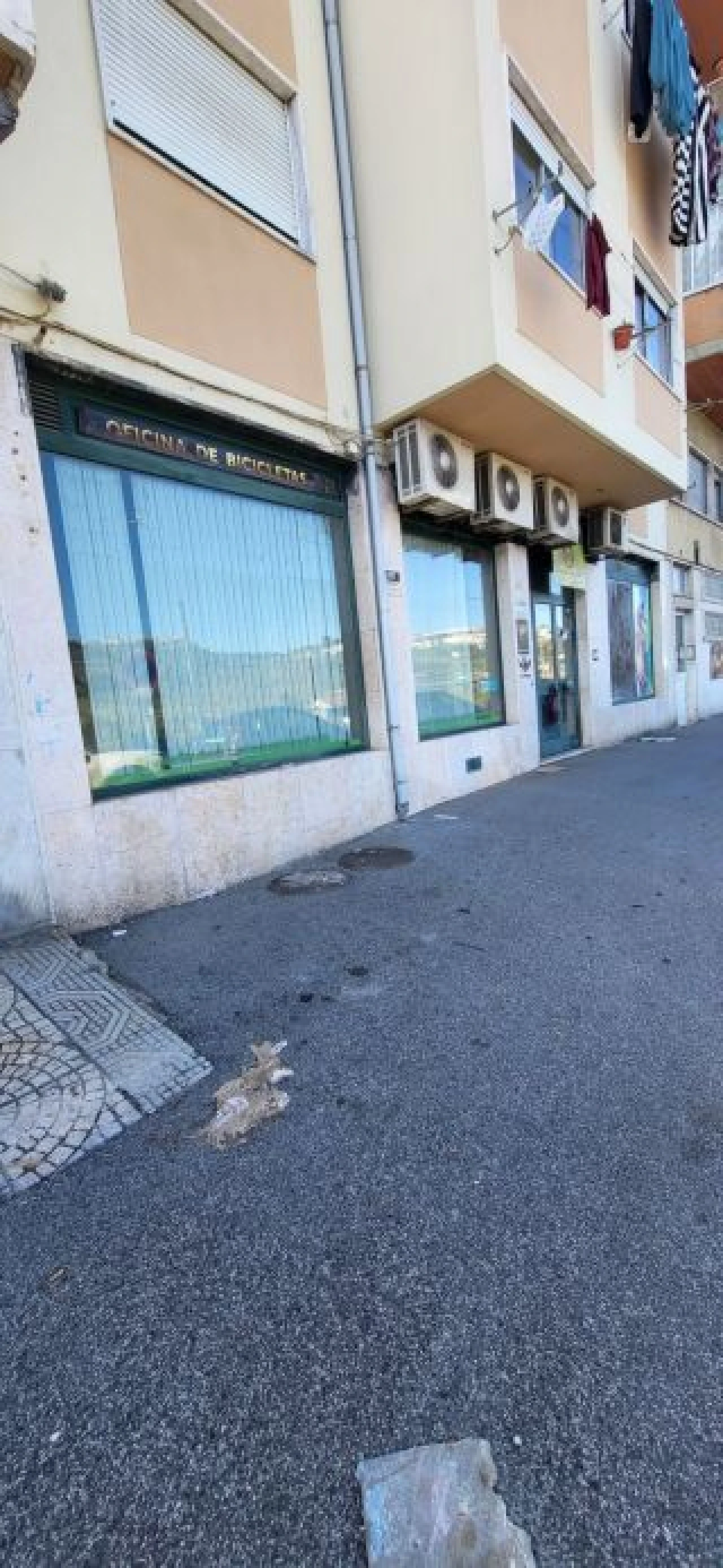 Negócio para Venda em Póvoa de Santo Adrião e Olival Basto Foto 12