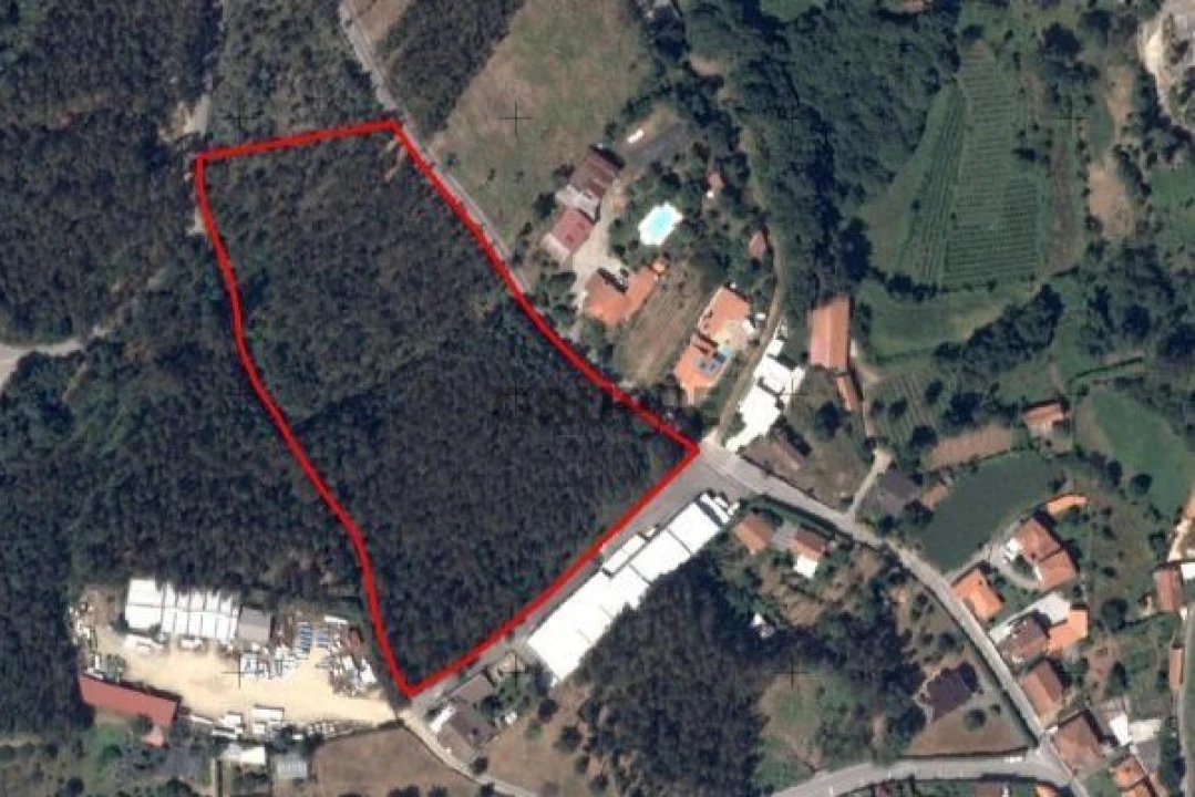 Terreno para Venda em Silva Escura e Dornelas Foto 2