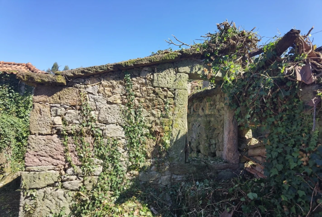 Moradia para Venda em Sopo Foto 6