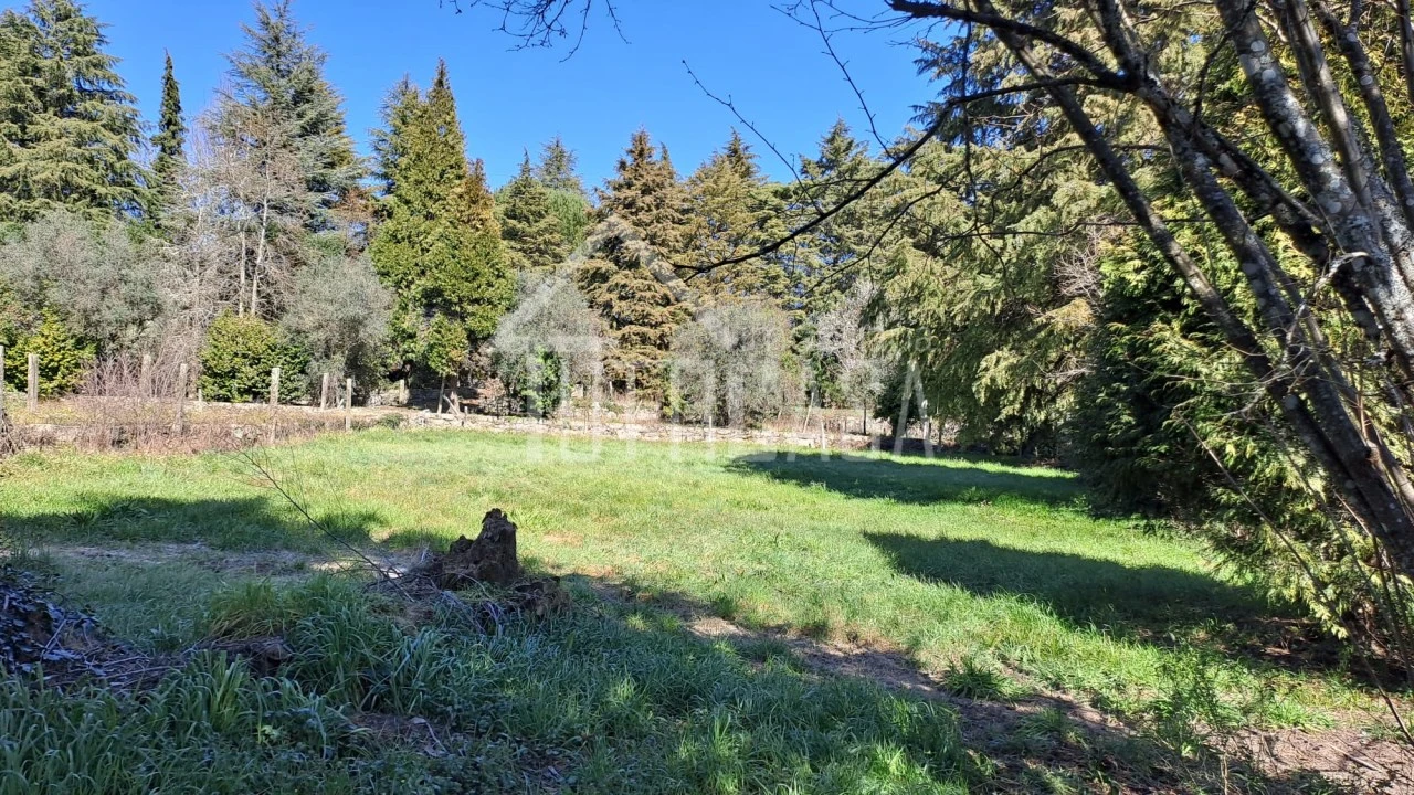Moradia T8 para Venda em Mangualde, Mesquitela e Cunha Alta Foto 9