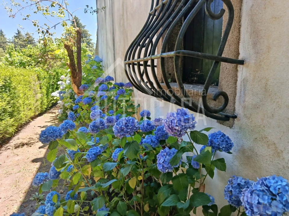 Moradia T8 para Venda em Mangualde, Mesquitela e Cunha Alta Foto 29