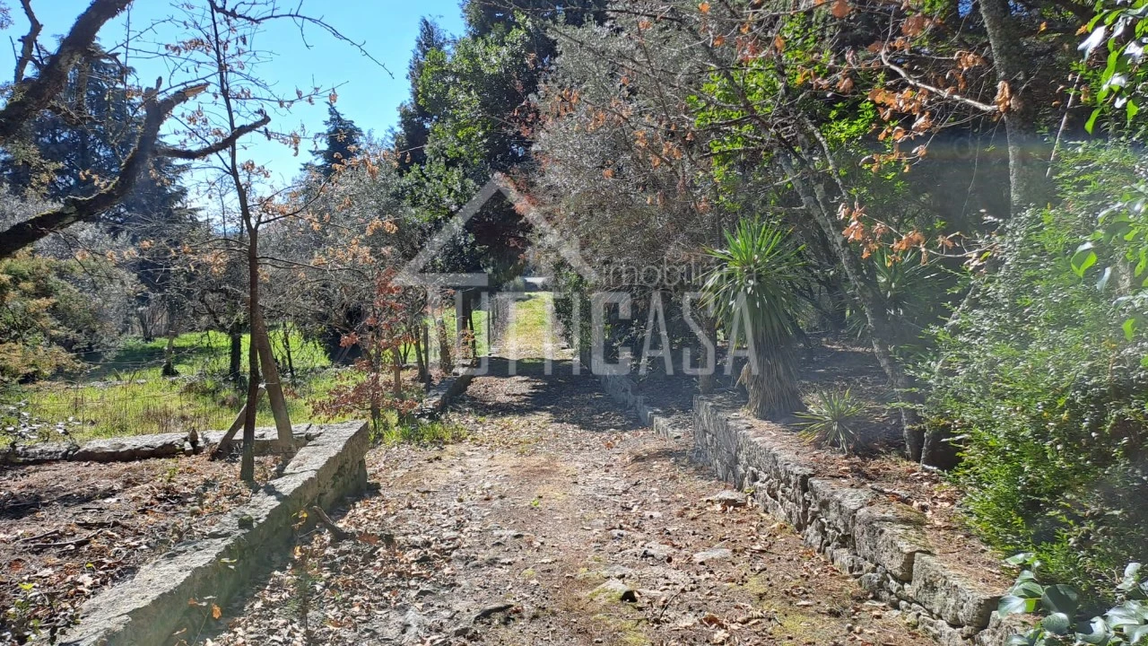 Moradia T8 para Venda em Mangualde, Mesquitela e Cunha Alta Foto 37