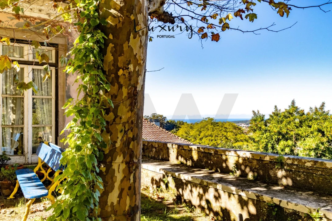 Quinta T13 para Venda em São João das Lampas e Terrugem Foto 4