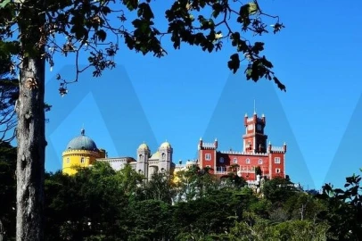 Quinta T13 para Venda em Santa Maria e São Miguel, São Martinho, São Pedro Penaferrim