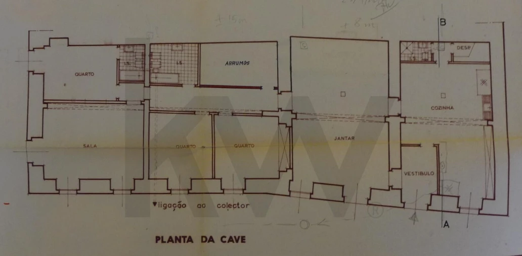 Quinta T13 para Venda em Santa Maria e São Miguel, São Martinho, São Pedro Penaferrim Foto 101