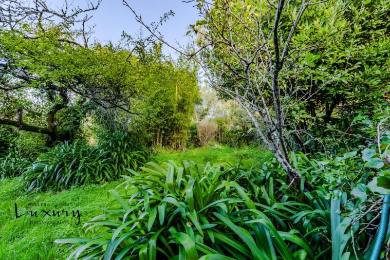Quinta T13 para Venda em São João das Lampas e Terrugem Foto 93