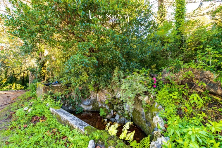 Quinta T13 para Venda em São João das Lampas e Terrugem Foto 10