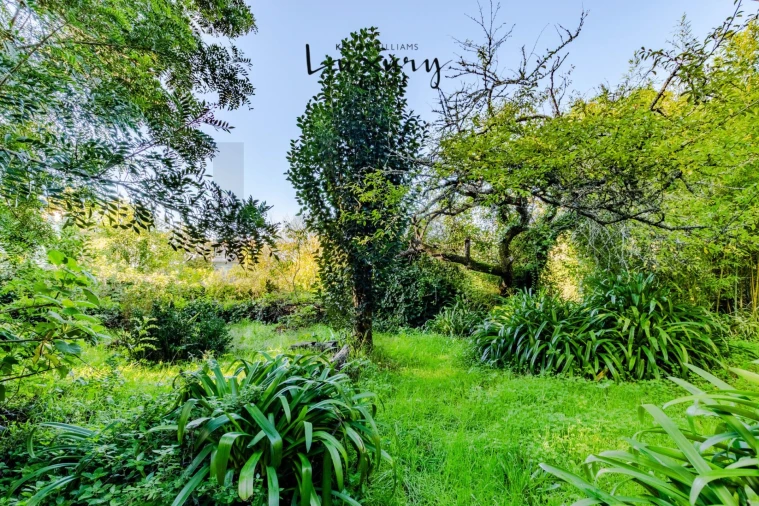 Quinta T13 para Venda em São João das Lampas e Terrugem Foto 92