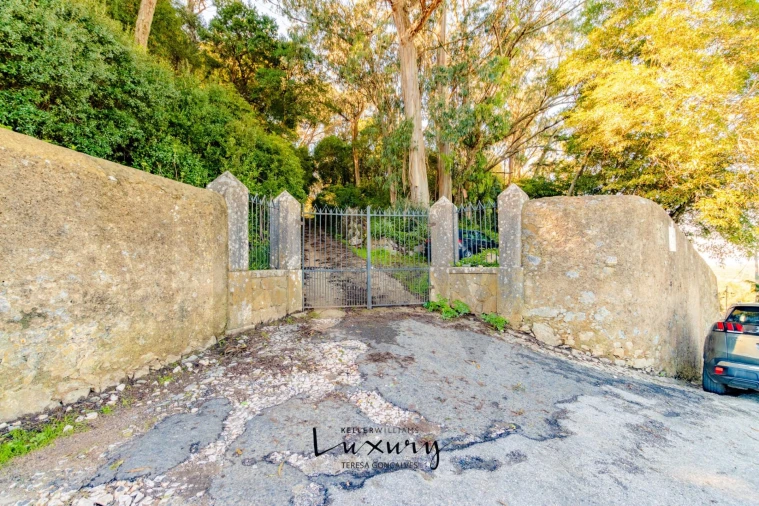 Quinta T13 para Venda em São João das Lampas e Terrugem Foto 5