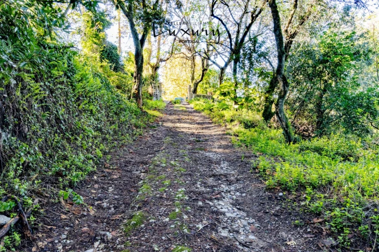 Quinta T13 para Venda em São João das Lampas e Terrugem Foto 21
