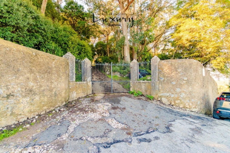 Quinta T13 para Venda em São João das Lampas e Terrugem Foto 20