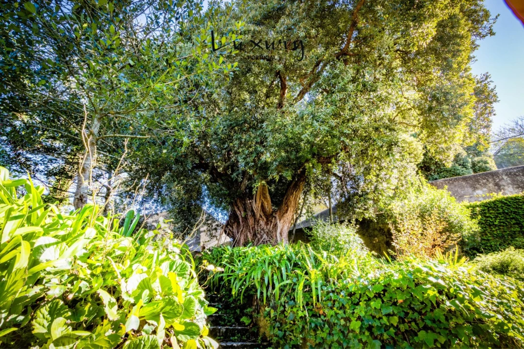Quinta T13 para Venda em São João das Lampas e Terrugem Foto 94