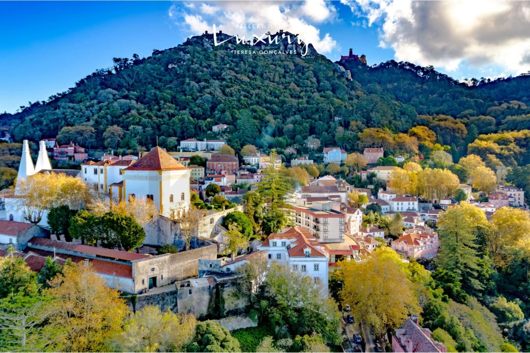 Quinta T13 para Venda em São João das Lampas e Terrugem Foto 8