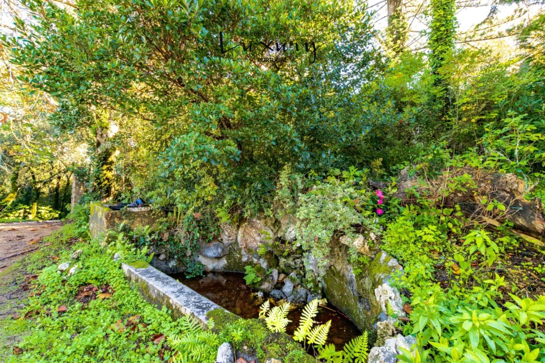 Quinta T13 para Venda em São João das Lampas e Terrugem Foto 23