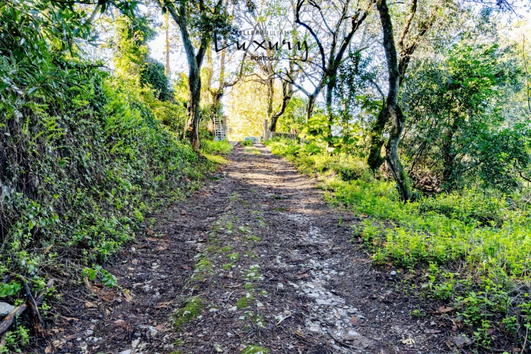 Quinta T13 para Venda em São João das Lampas e Terrugem Foto 21