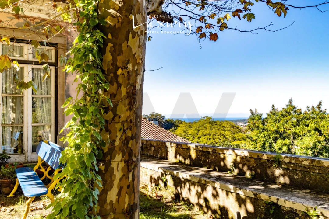 Quinta T13 para Venda em São João das Lampas e Terrugem Foto 4