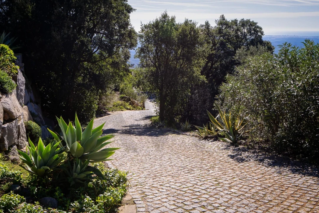 Moradia T3 para Venda em Monchique Foto 35