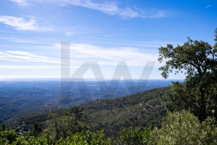 Moradia T3 para Venda em Monchique Foto 41