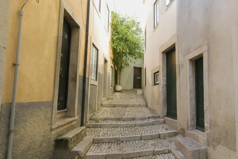 Apartamento T2 para Venda em Santa Maria Maior Foto 8