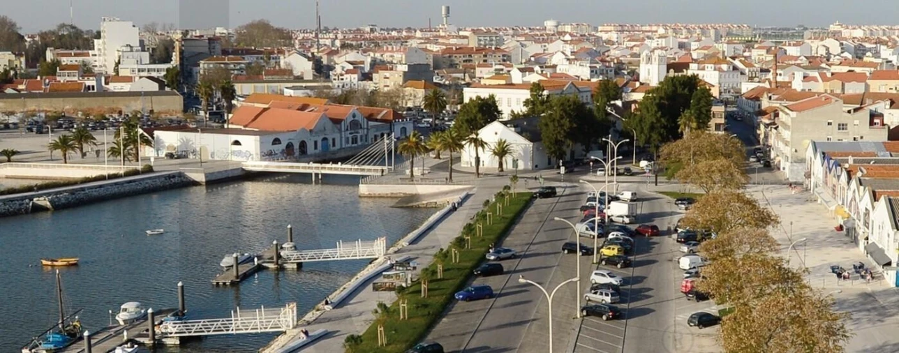 Terreno para Venda em Montijo e Afonsoeiro Foto 3