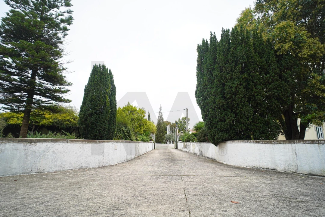 Moradia T10 para Venda em Alcanena e Vila Moreira Foto 8