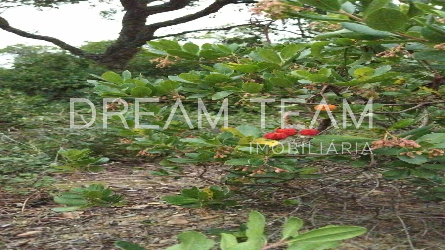 Terreno para Venda em Palhais e Coina Foto 17