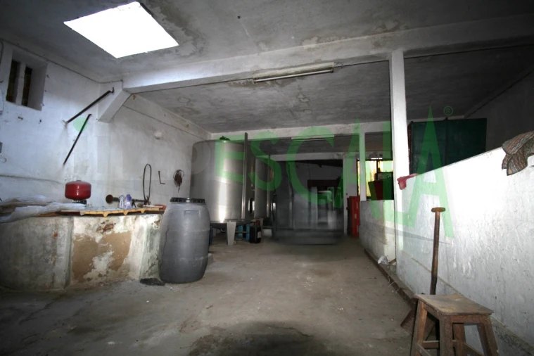 Moradia T6 para Venda em Cartaxo e Vale da Pinta Foto 16