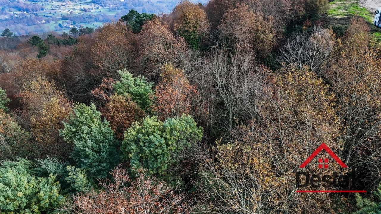 Terreno Agricola ou Rústico para Venda em São Pedro do Sul, Várzea e Baiões Foto 6