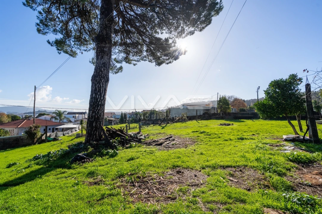 Terreno para Venda em Merelim (São Paio), Panoias e Parada de Tibães Foto 14