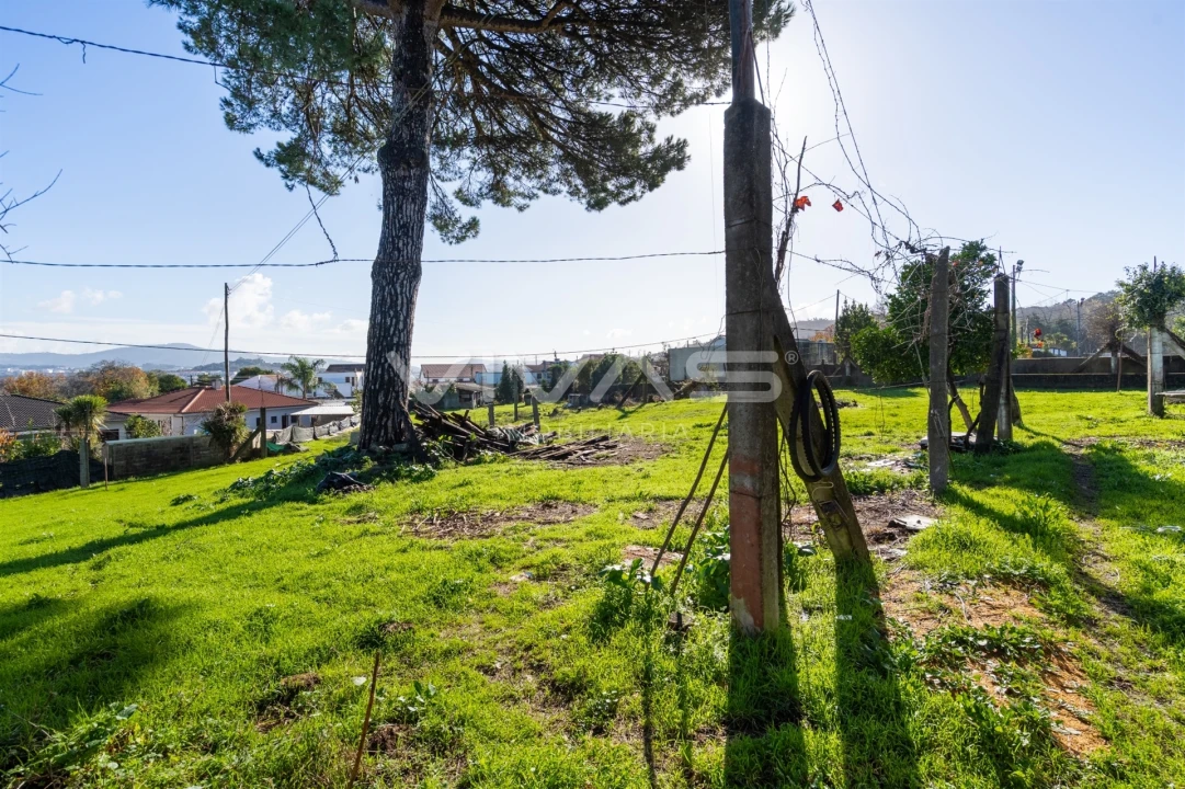Terreno para Venda em Merelim (São Paio), Panoias e Parada de Tibães Foto 13