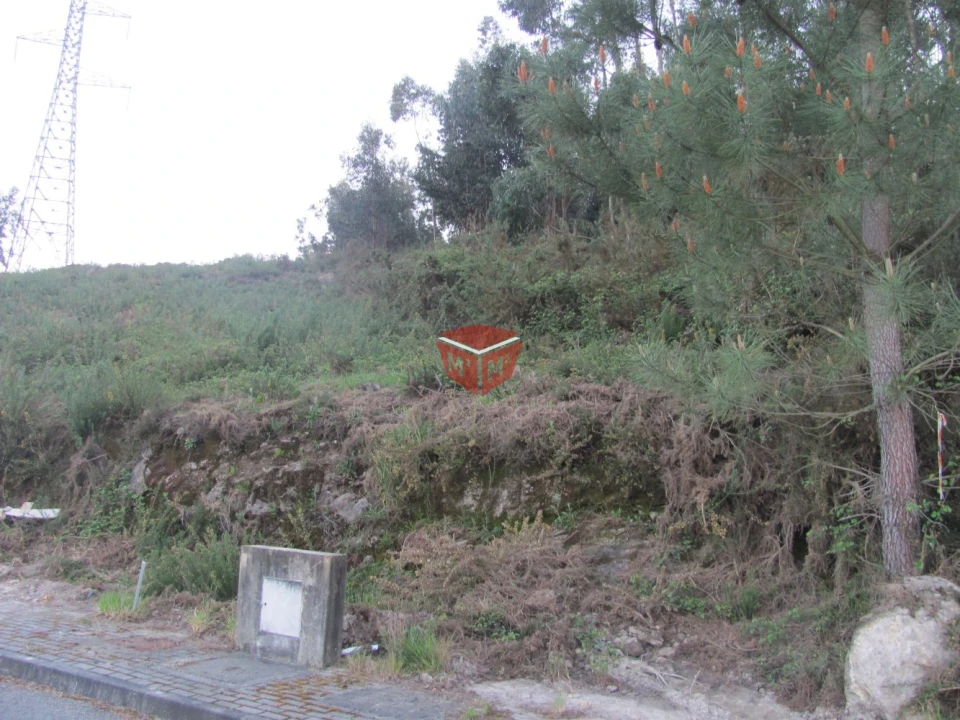 Terreno para Venda em Vilela Foto 14