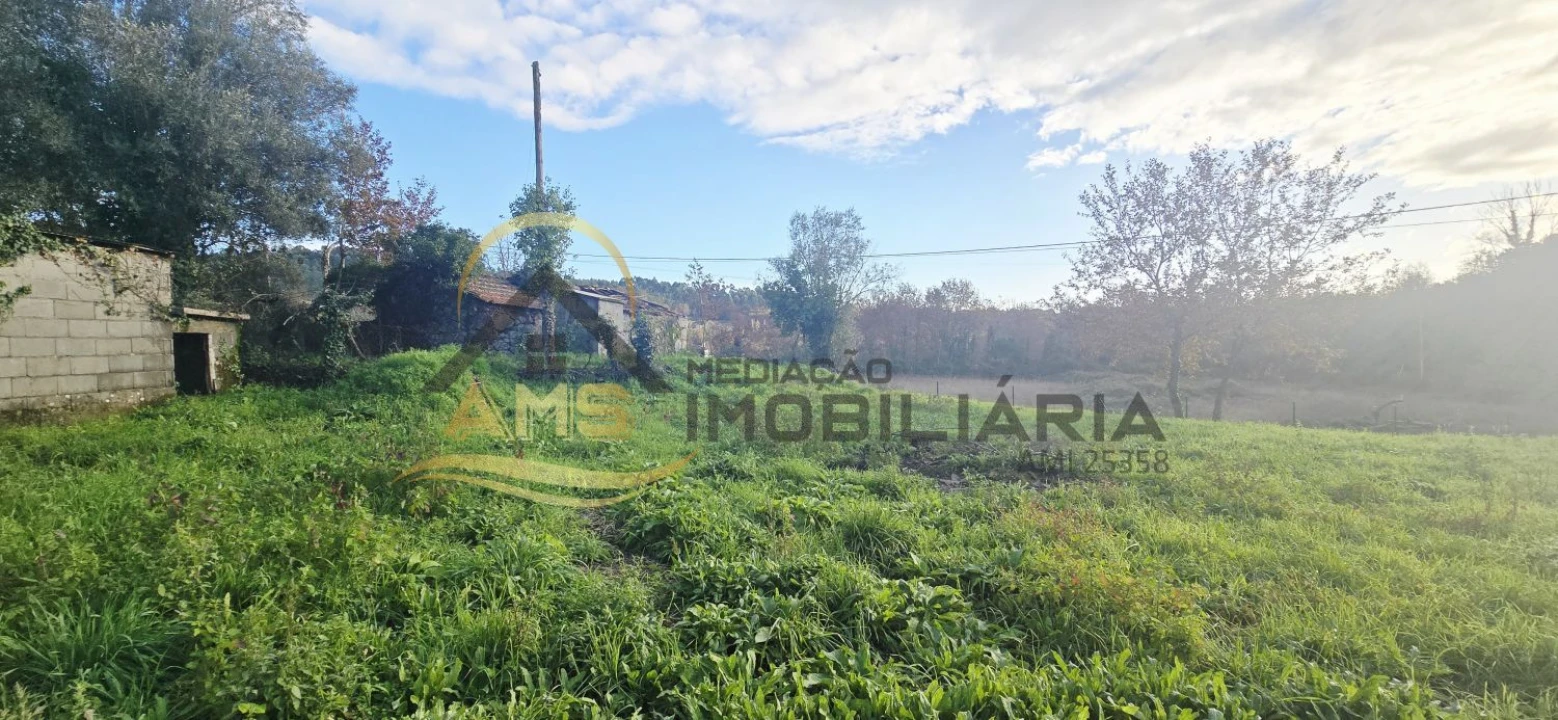 Moradia T3 para Venda em Ribeiros Foto 17