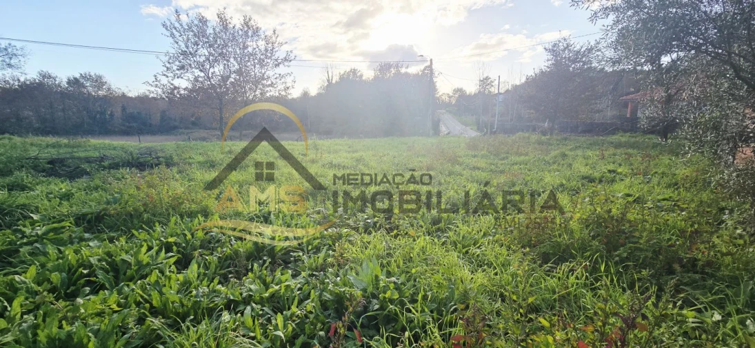 Moradia T3 para Venda em Ribeiros Foto 18