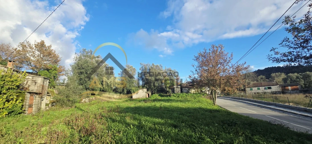 Moradia T3 para Venda em Ribeiros Foto 11