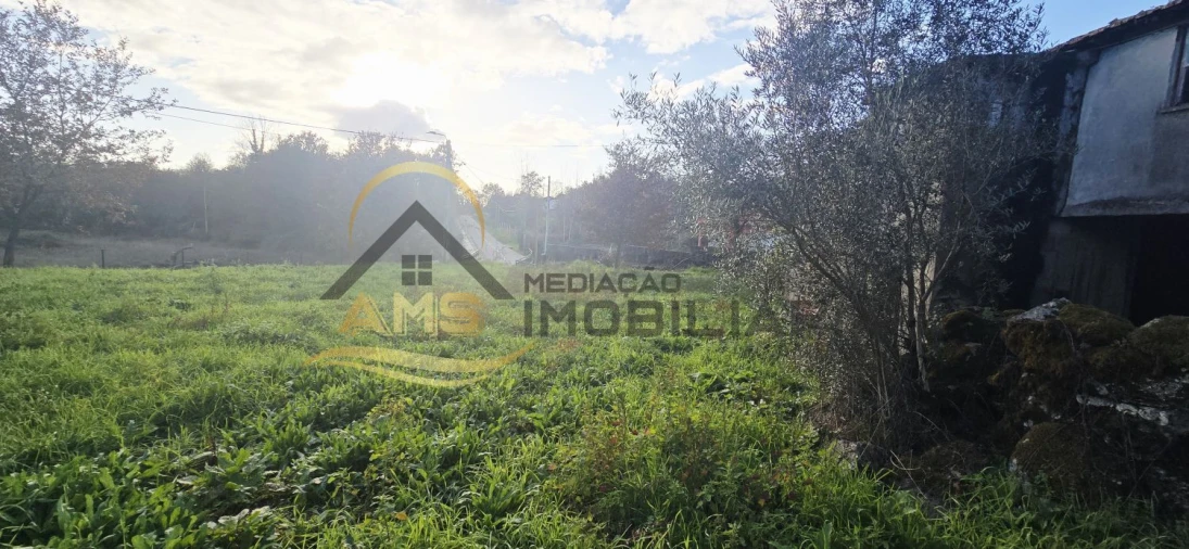 Moradia T3 para Venda em Ribeiros Foto 23