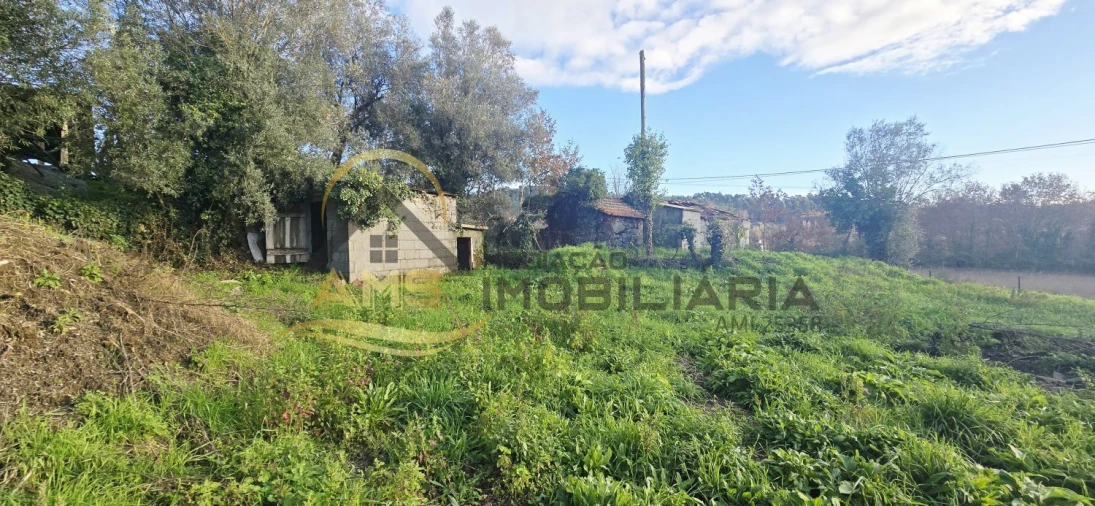 Moradia T3 para Venda em Ribeiros Foto 16