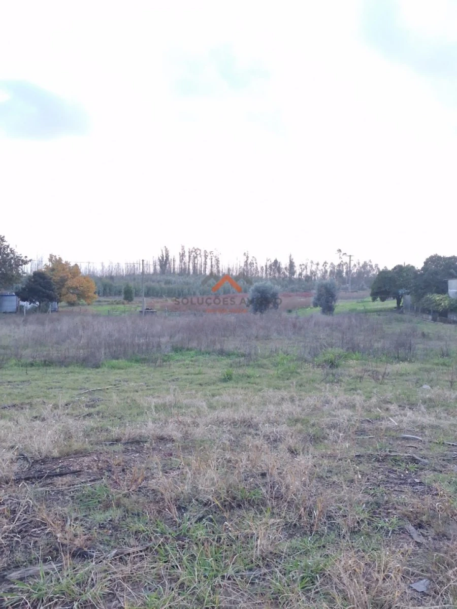 Moradia T3 para Venda em Valongo do Vouga Foto 11