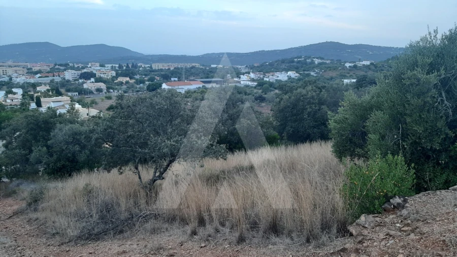 Terreno para Venda em São Brás de Alportel Foto 2