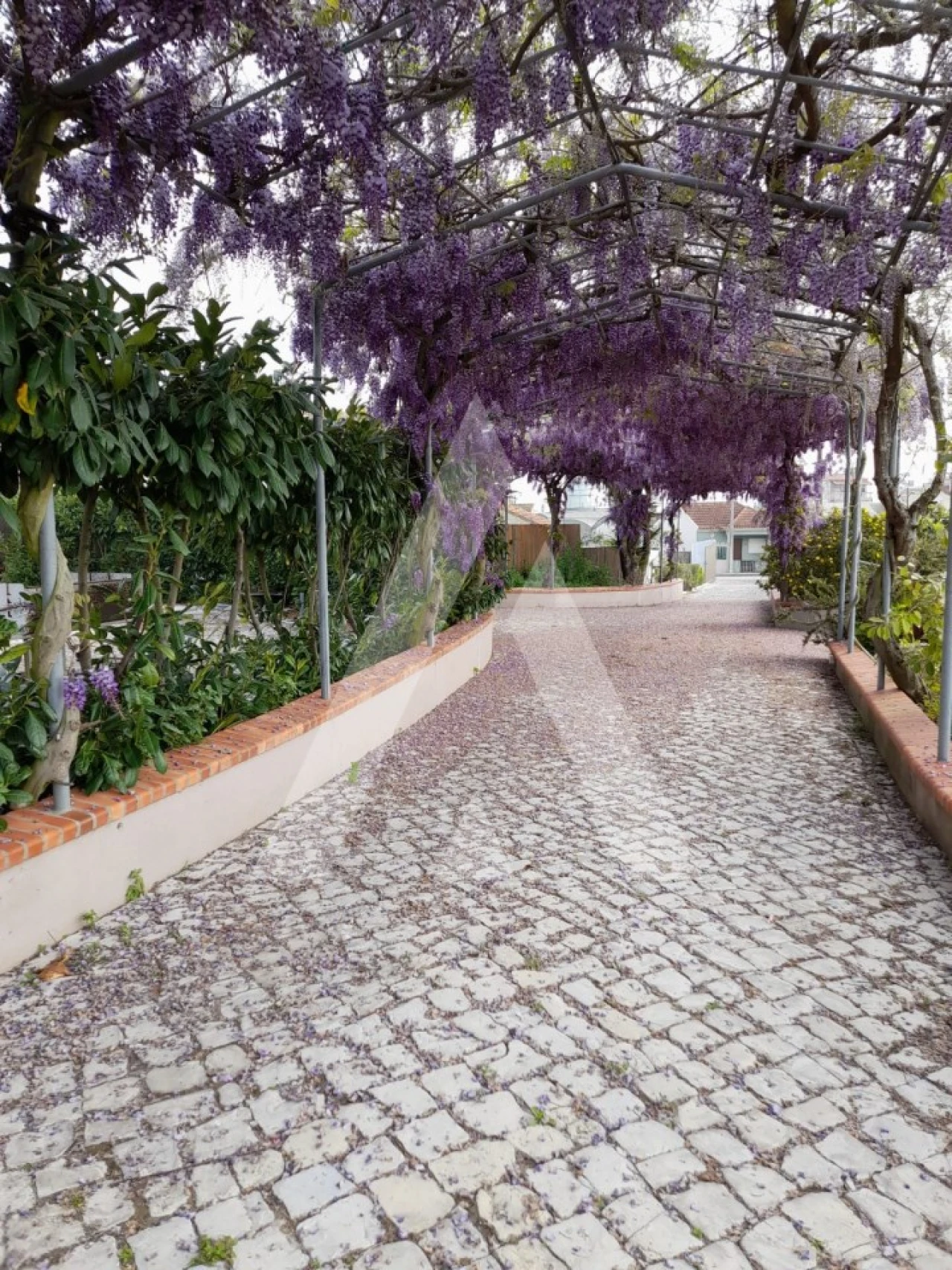 Moradia T4 para Venda em Ílhavo (São Salvador) Foto 20