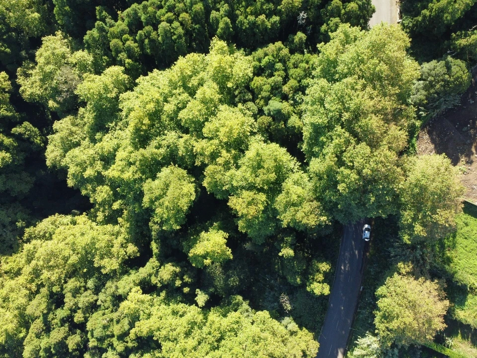 Terreno para Venda em Lomba da Maia Foto 5