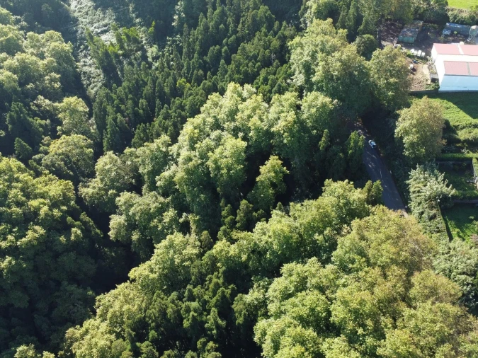 Terreno para Venda em Lomba da Maia Foto 4