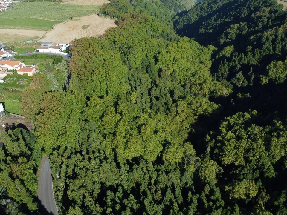 Terreno para Venda em Lomba da Maia Foto 8