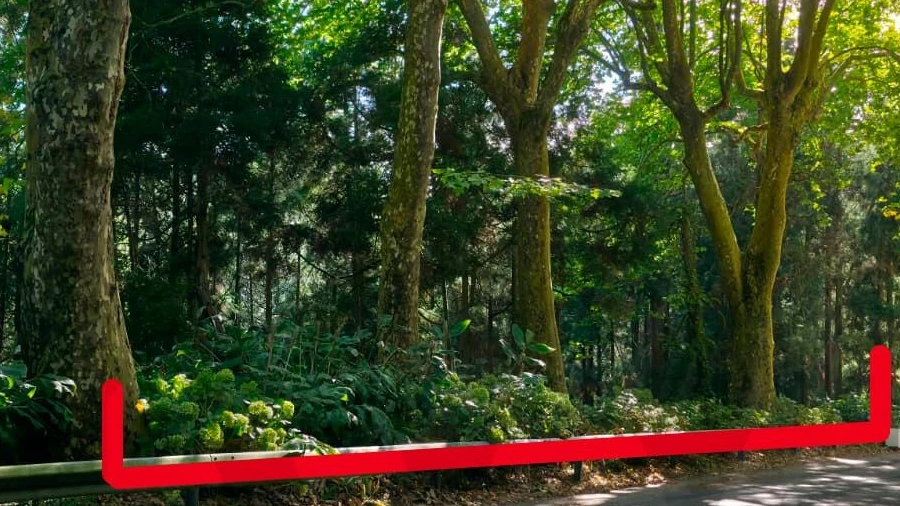 Terreno para Venda em Lomba da Maia