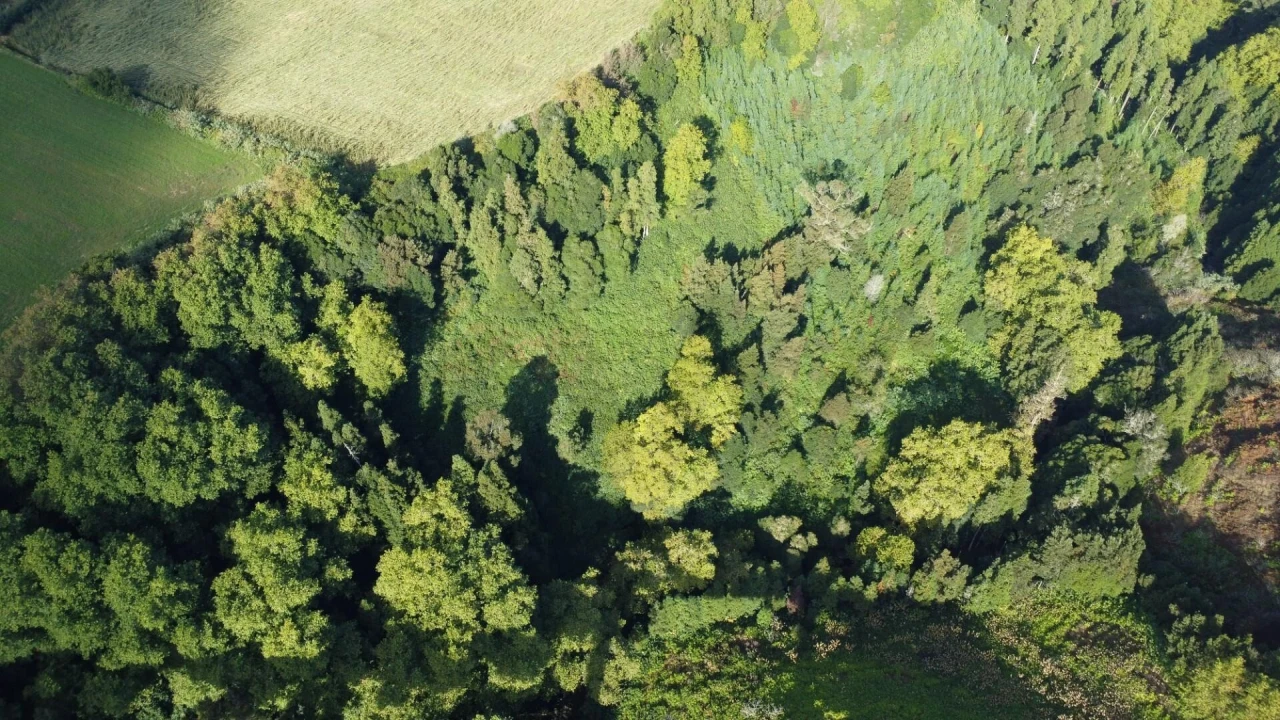 Terreno para Venda em Lomba da Maia Foto 7